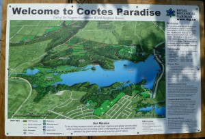 Cootes Paradise graphic